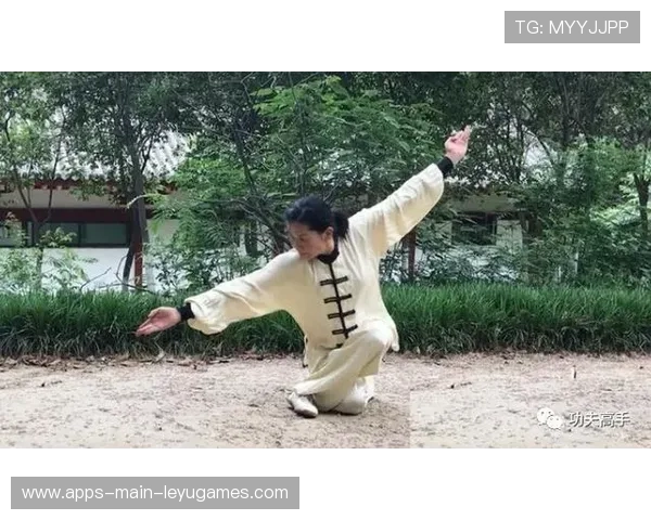 一拳通背！探秘中国武术通背拳的独门劲道，通背拳一路